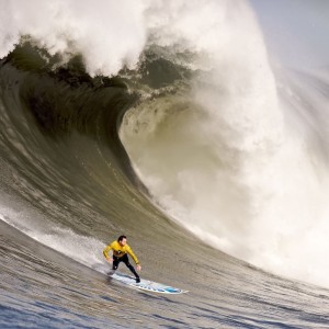 体育竞猜网站-十二场传奇与袋鼠逆袭，当稳定成为最锋利的破局之刃，十二场传奇，袋鼠以稳定之刃，铸就逆袭神话